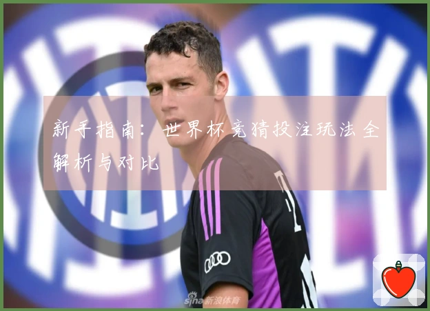 新手指南：世界杯竞猜投注玩法全解析与对比