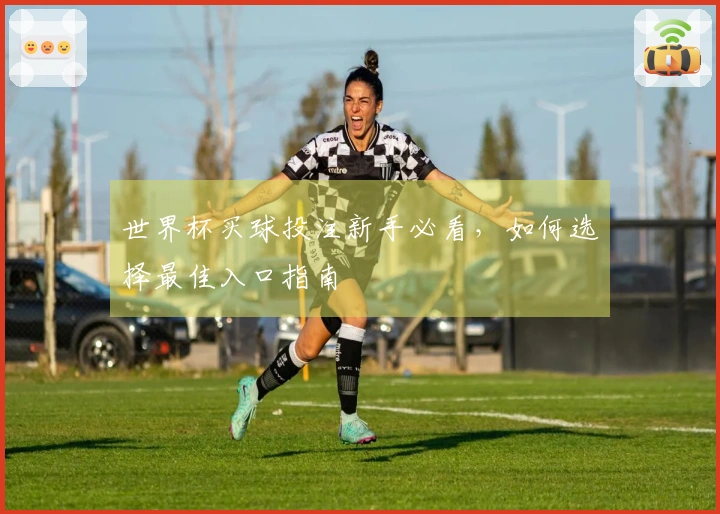 世界杯买球投注新手必看，如何选择最佳入口指南