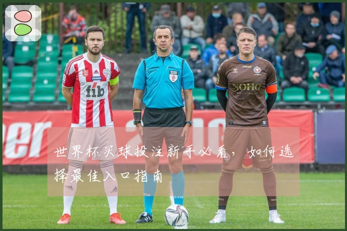 世界杯买球投注新手必看，如何选择最佳入口指南
